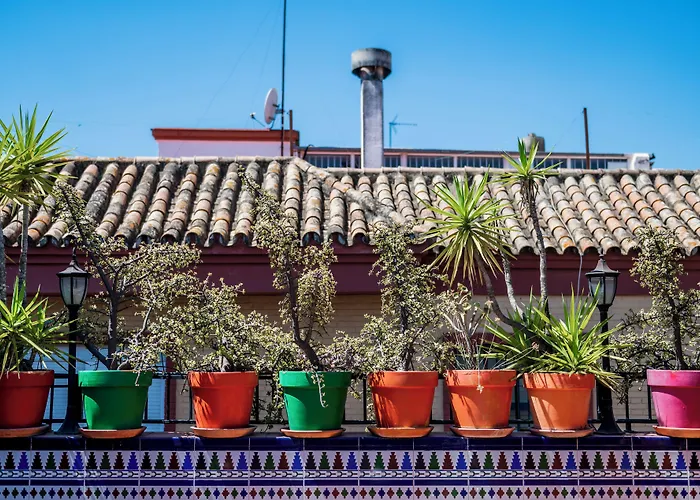 Hostel Triana Backpackers Séville